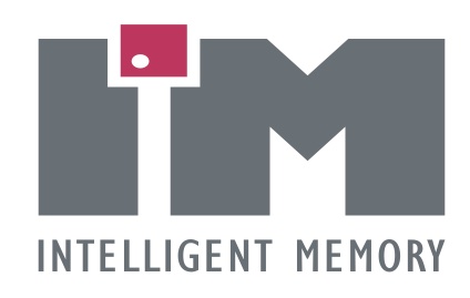 Intelligent Memory